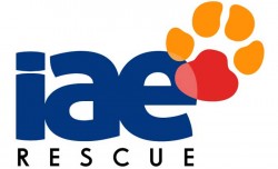 iae-rescue