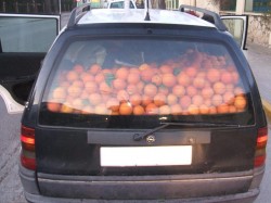 naranjas-robadas