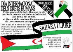 DÃ­a Internacional dels Drets Humans