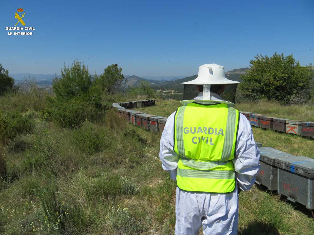 La Guardia Civil Detiene A Dos Estafadores De Colmenas En Xàtiva Portal De Xàtiva 