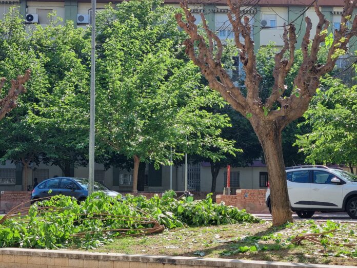 Imagen de WhatsApp 2025-05-13 a las 14.44.53_b6a42c0d