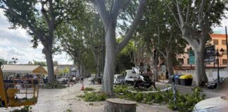 Diuen que és manteniment… però és destrucció