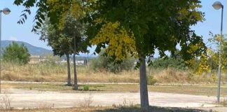 Xàtiva reforça la neteja de solars a la zona nord amb 28 ordres d’execució