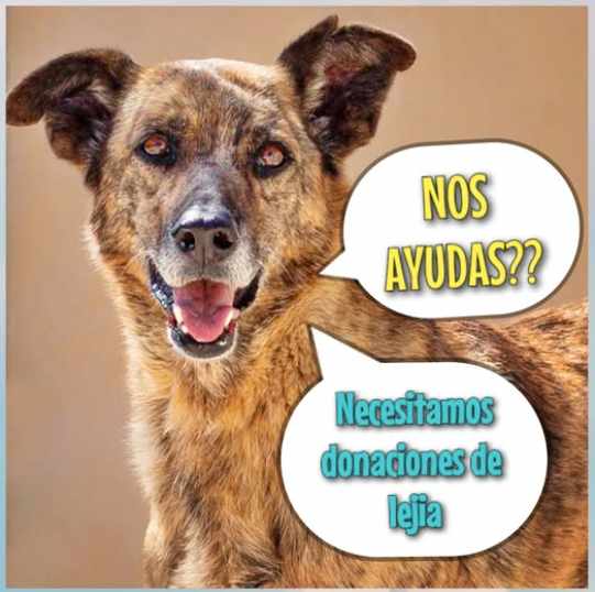 spax-crida-ajuda-donacio-lejia