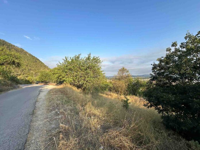 ubicacio-centre-dia-xativa-2025