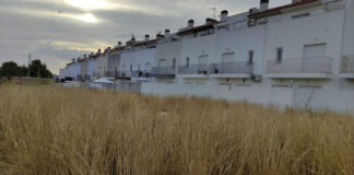 El PSPV de l’Alcúdia de Crespins denuncia la “incompetència” de Sicluna per resoldre les queixes veïnals per falta de neteja