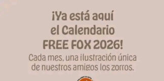 La nova iniciativa solidària de FreeFox: calendaris il·lustrats per donar suport al rescat de rabosses