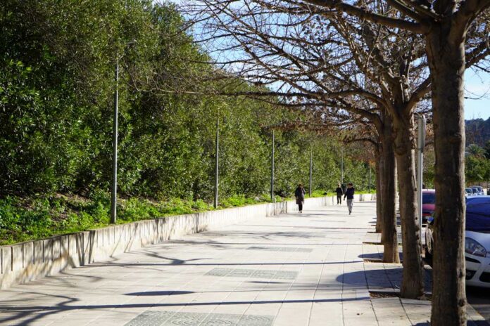 Arbres-Passeig-Ferrocarril