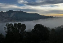 Xàtiva rep 25.589,72 euros de la Diputació per a previndre incendis forestals en 2025