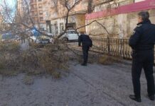 El temporal de vent sacseja Xàtiva amb caiguda d’arbres i desperfectes en façanes