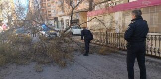 El temporal de vent sacseja Xàtiva amb caiguda d’arbres i desperfectes en façanes