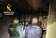 Un incendi en una casa deshabitada d’Alberic destapa una plantació amb 524 plantes de marihuana